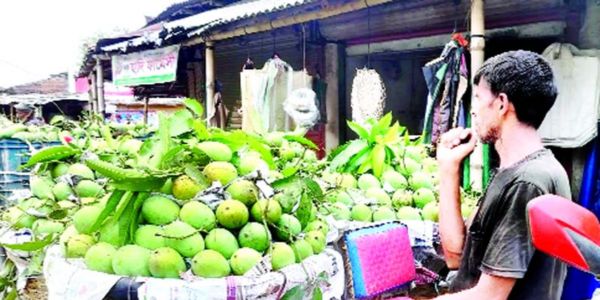 চাঁপাইয়ে ‘ঢলন’ প্রথা বহাল, কমিশনে ‘না’ প্রান্তিক আম চাষিদের